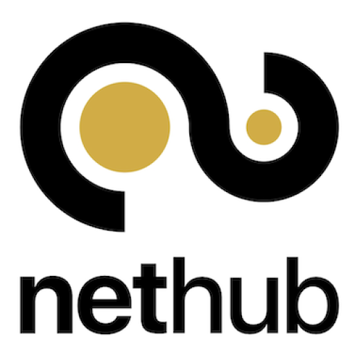 Nethub infinity logo